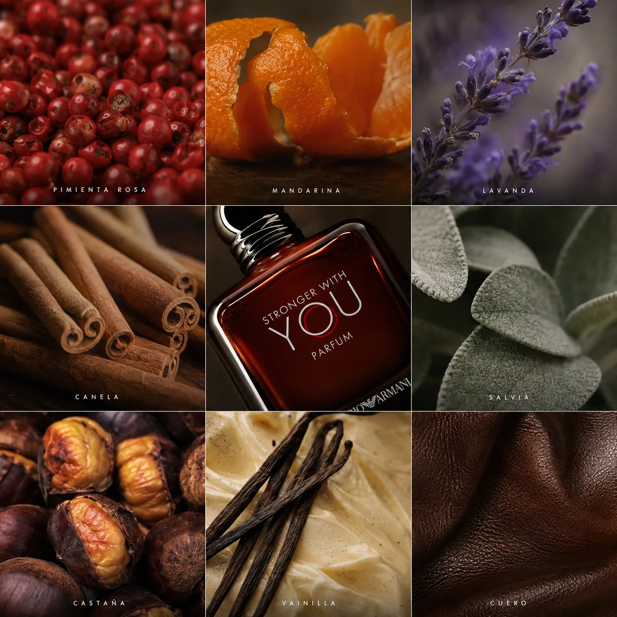 Stronger With You Parfum – Giorgio Armani